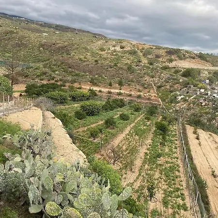 Abuela Carmen *